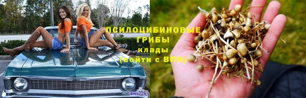 мдпв Абдулино